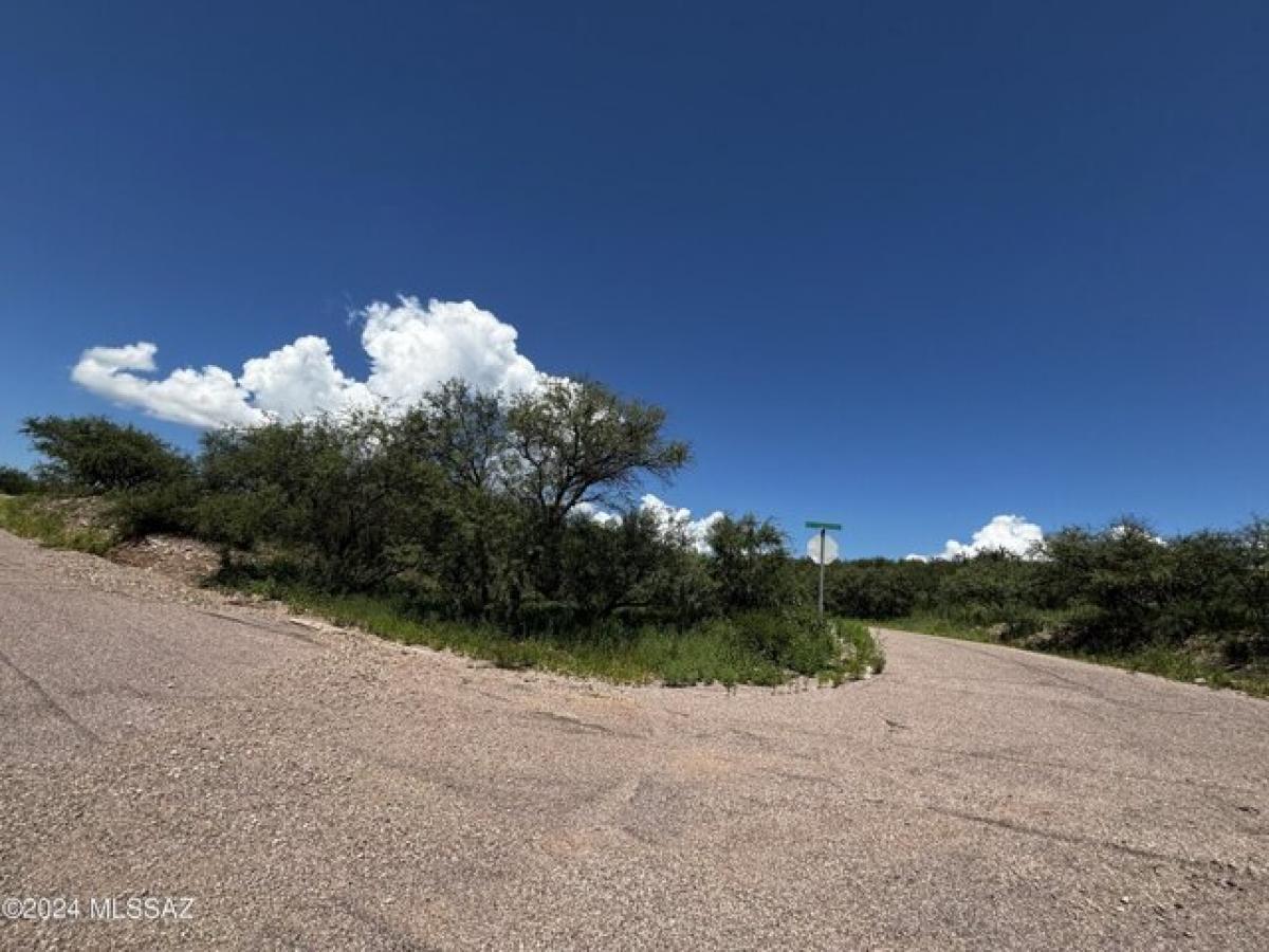 Picture of Residential Land For Sale in Rio Rico, Arizona, United States