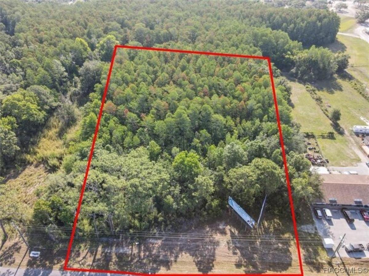 Picture of Residential Land For Sale in Homosassa, Florida, United States