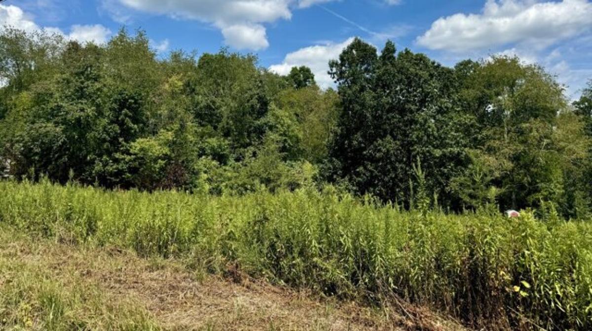 Picture of Residential Land For Sale in Lyles, Tennessee, United States