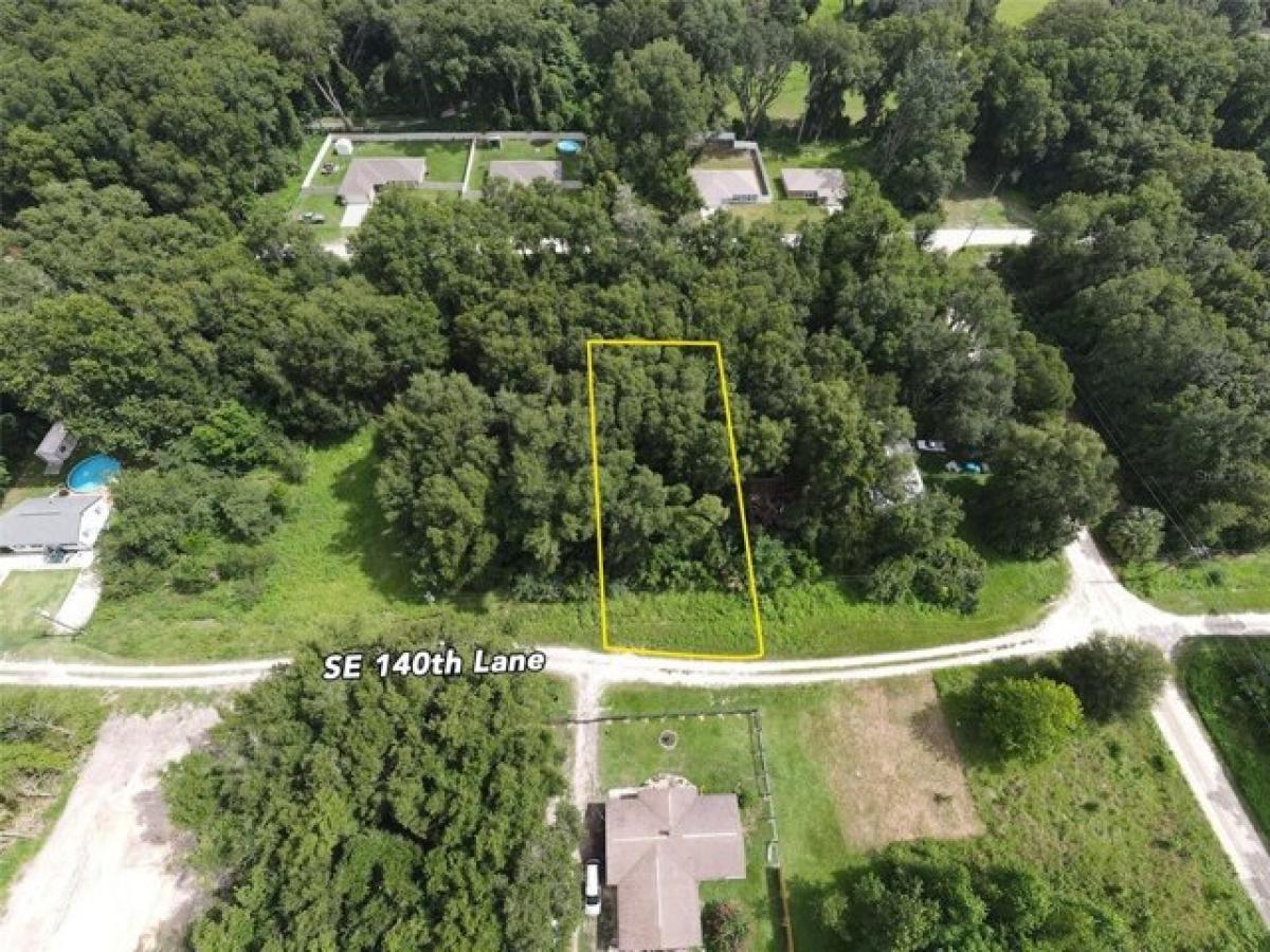 Picture of Residential Land For Sale in Summerfield, Florida, United States