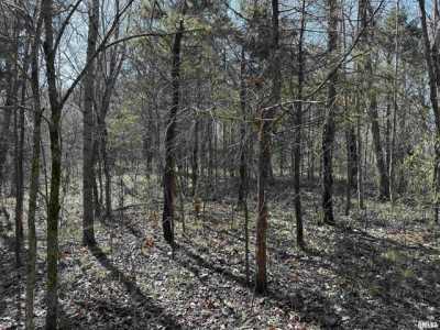 Residential Land For Sale in Vienna, Illinois