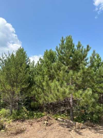 Residential Land For Sale in Tomahawk, Wisconsin