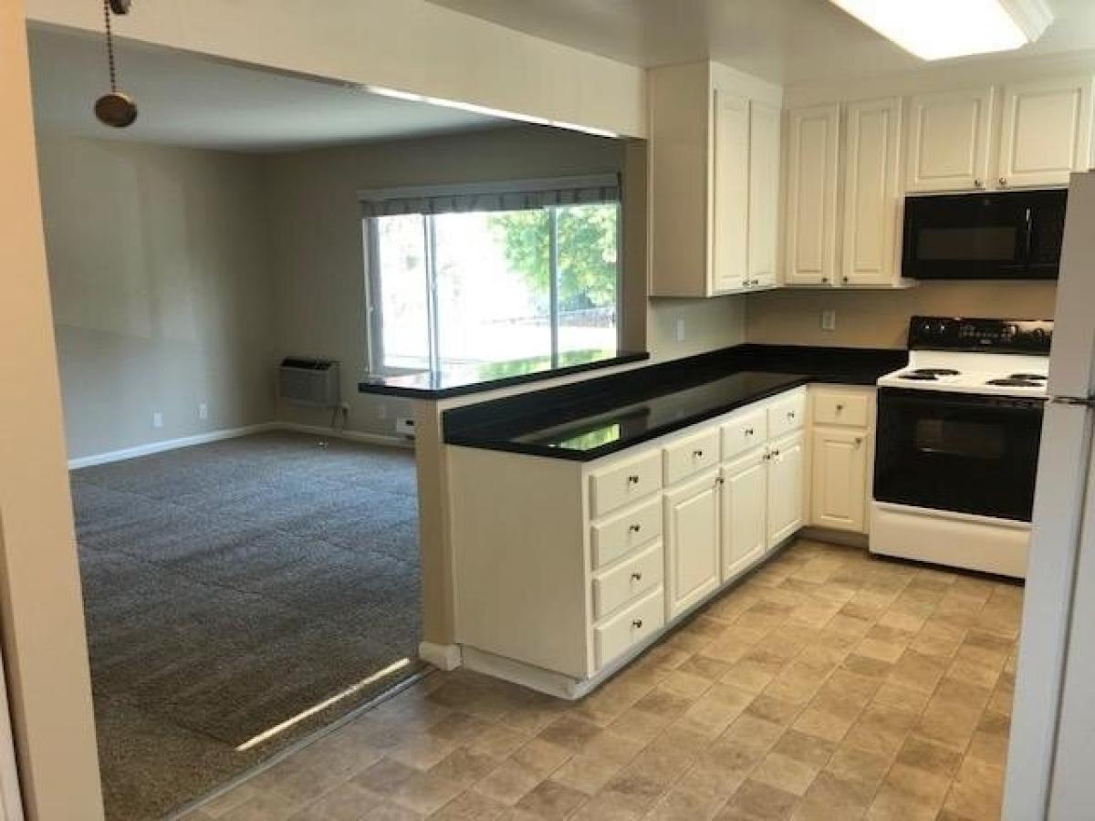 Picture of Apartment For Rent in Campbell, California, United States