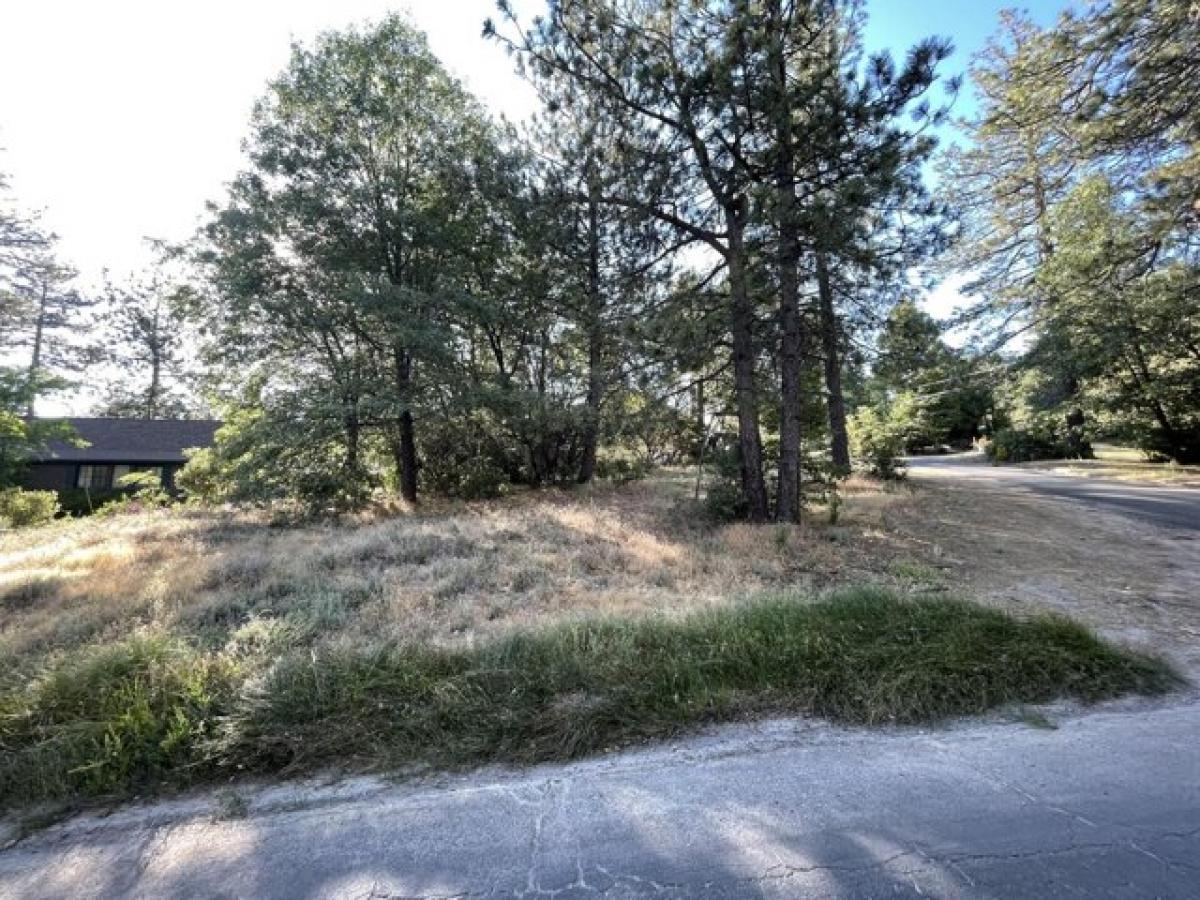 Picture of Residential Land For Sale in Idyllwild, California, United States