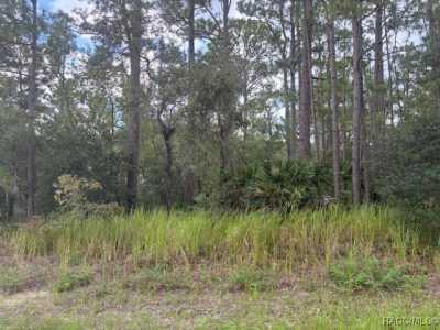 Residential Land For Sale in Beverly Hills, Florida