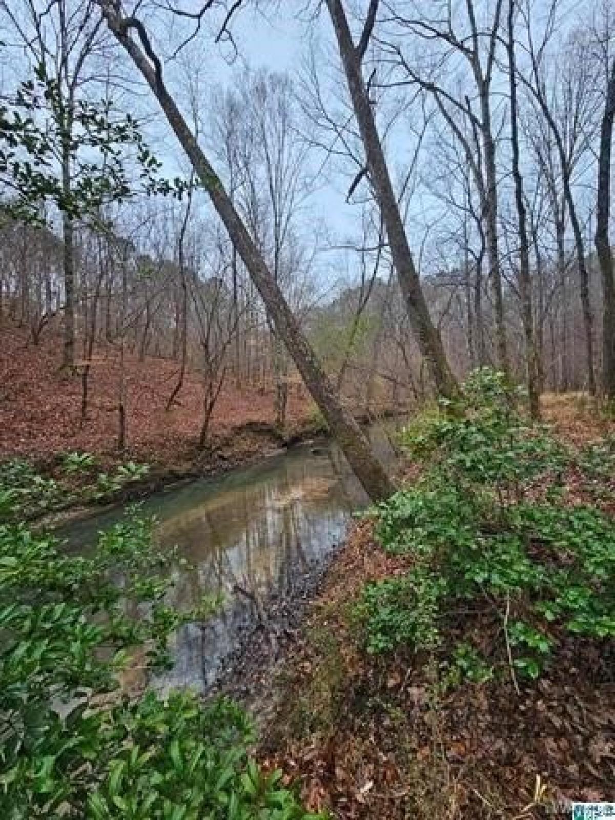 Picture of Residential Land For Sale in Hueytown, Alabama, United States