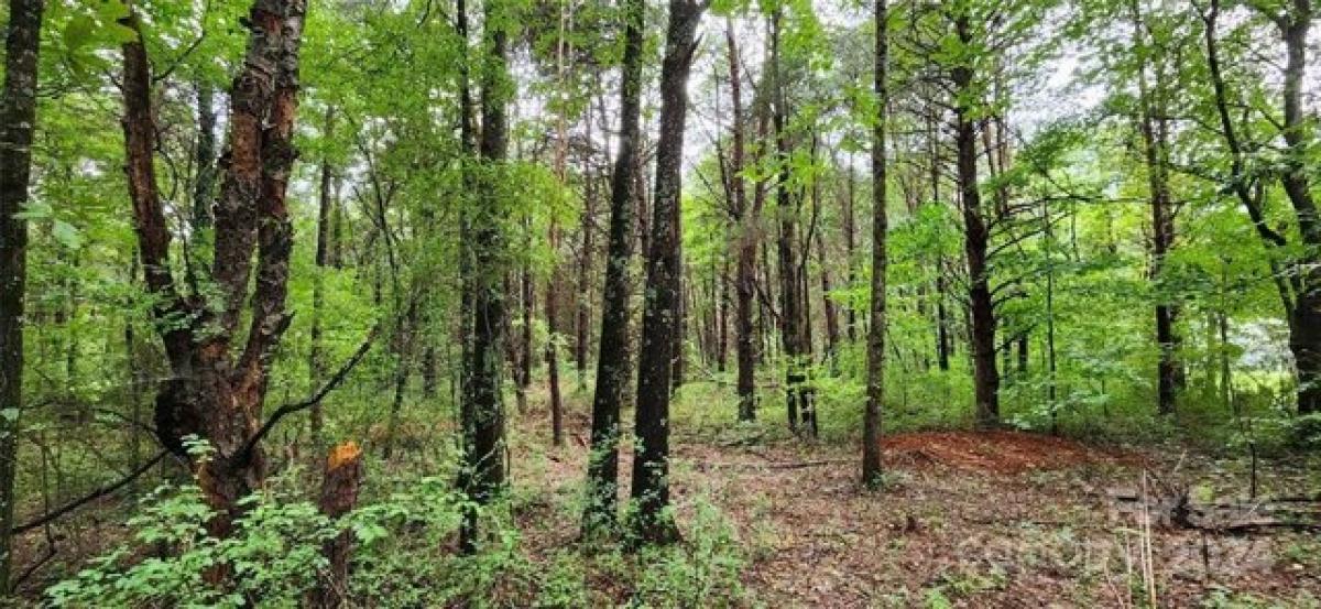 Picture of Residential Land For Sale in Maiden, North Carolina, United States