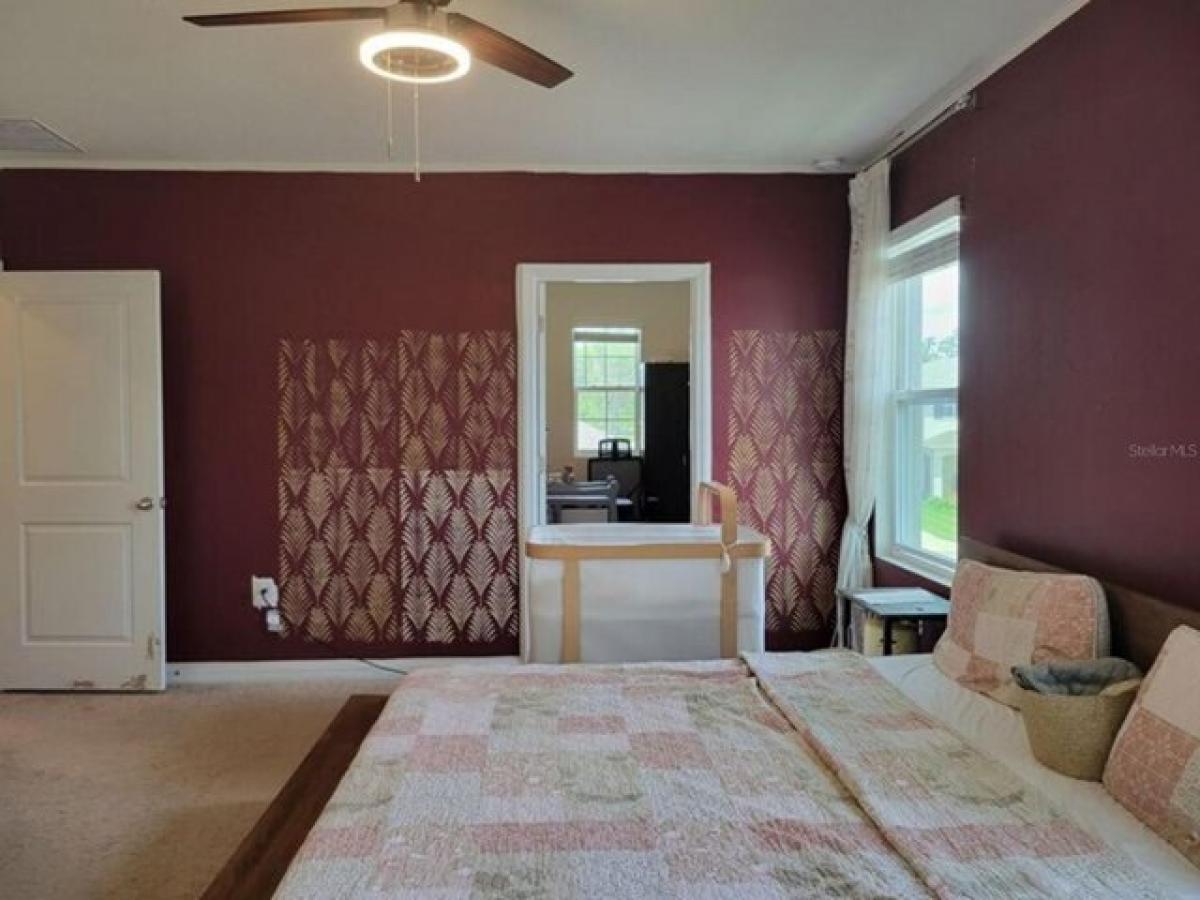 Picture of Home For Rent in Odessa, Florida, United States