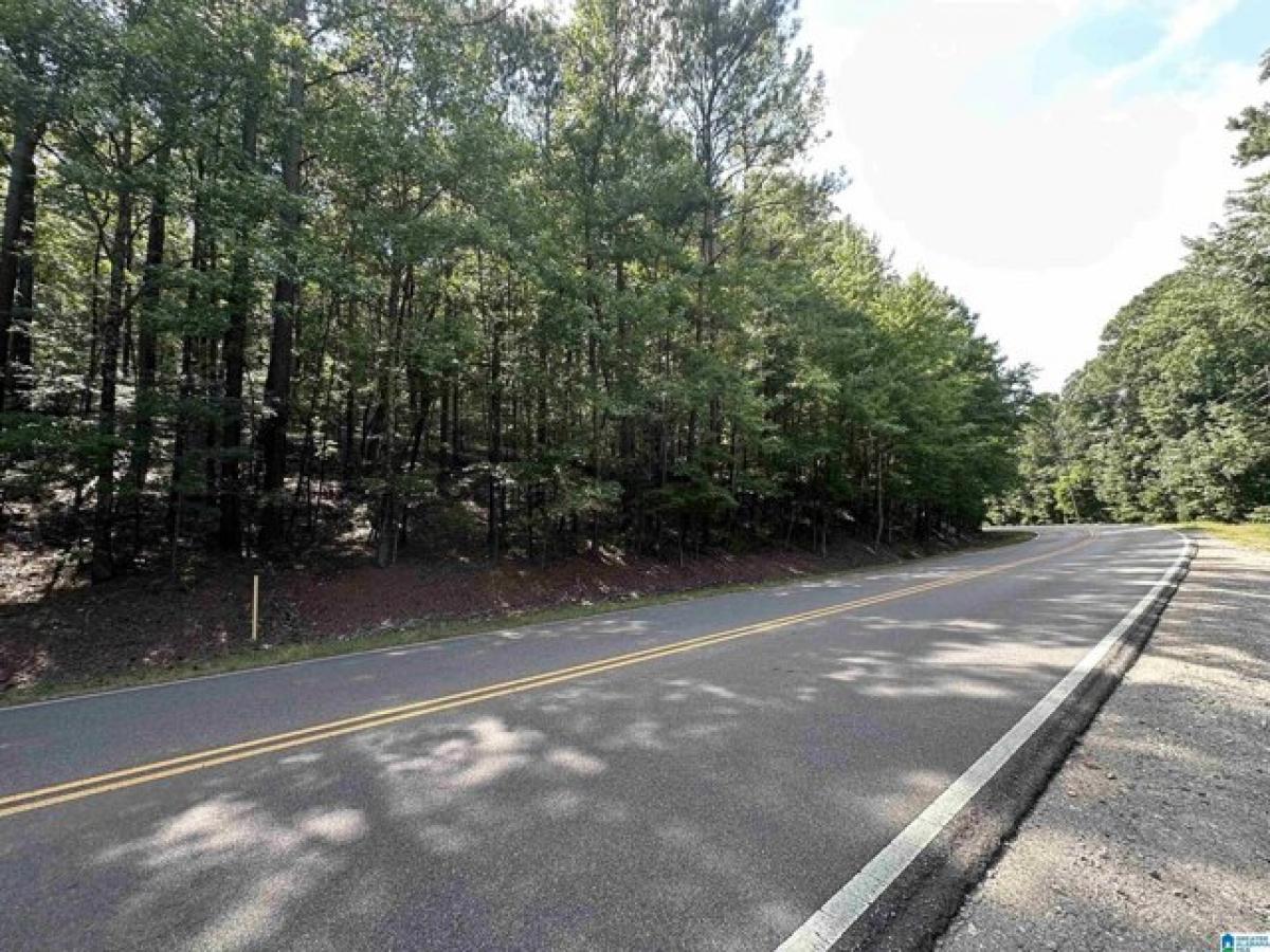 Picture of Residential Land For Sale in Bessemer, Alabama, United States