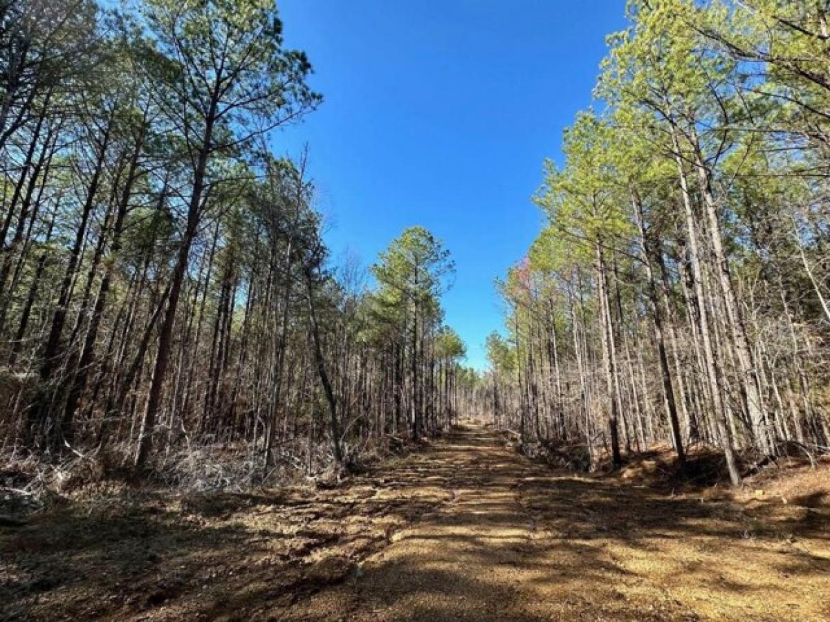 Picture of Residential Land For Sale in Florence, Mississippi, United States