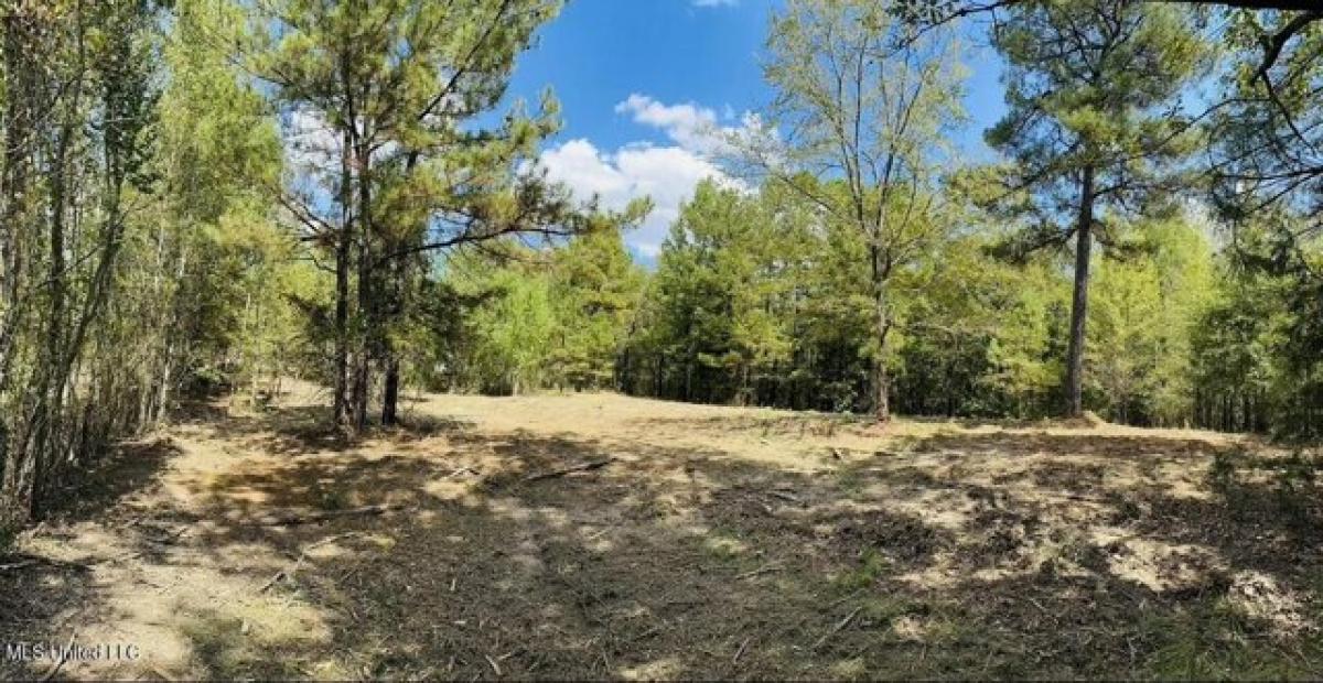 Picture of Residential Land For Sale in Pearl, Mississippi, United States