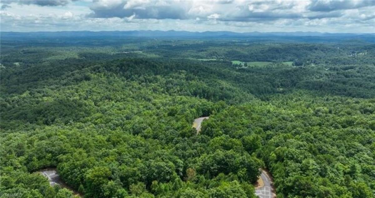 Picture of Residential Land For Sale in McGrady, North Carolina, United States