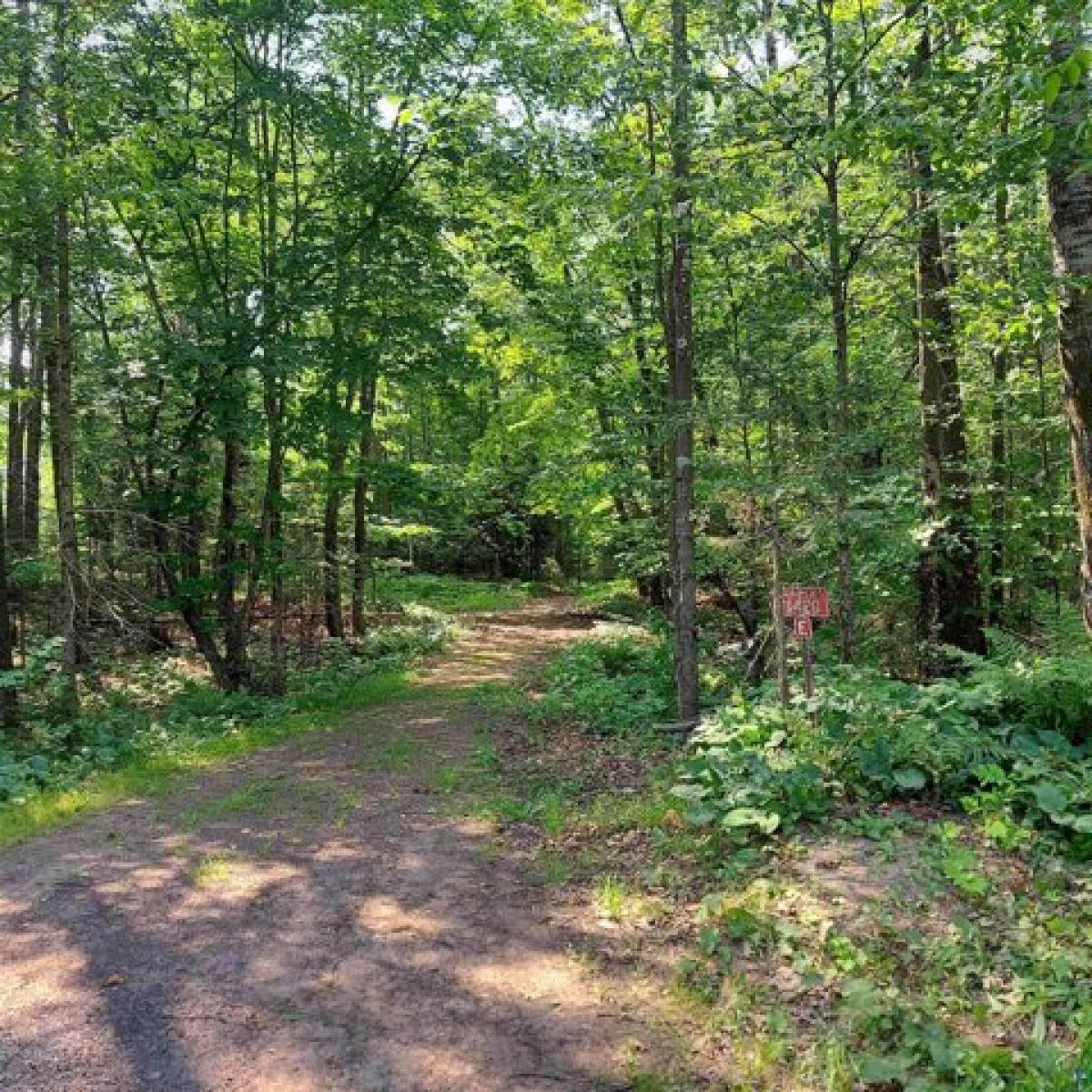 Picture of Residential Land For Sale in Maple, Wisconsin, United States