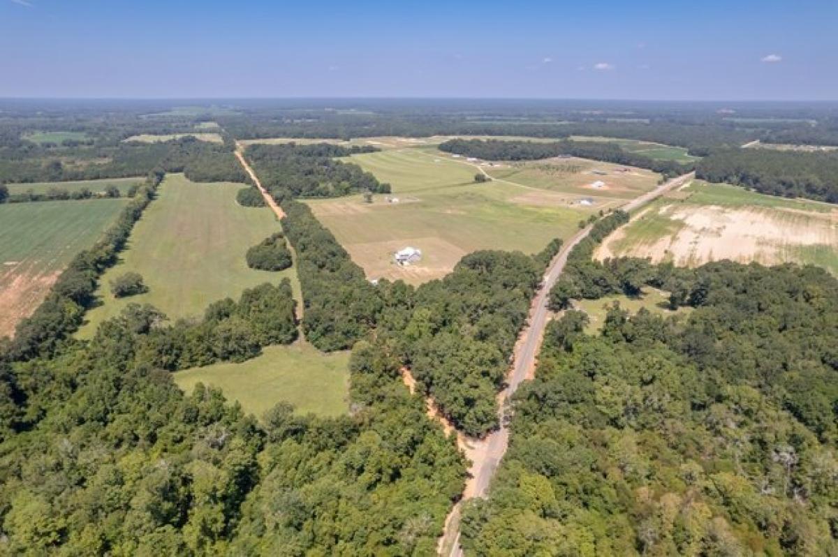 Picture of Residential Land For Sale in Slocomb, Alabama, United States