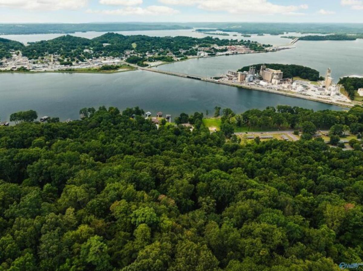 Picture of Residential Land For Sale in Guntersville, Alabama, United States