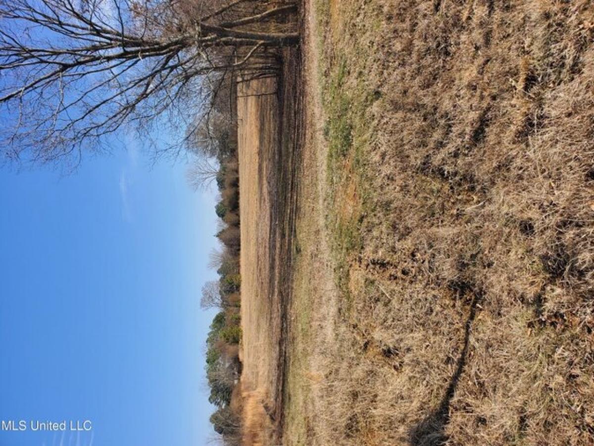 Picture of Residential Land For Sale in Senatobia, Mississippi, United States