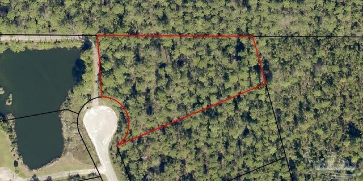 Picture of Residential Land For Sale in Milton, Florida, United States