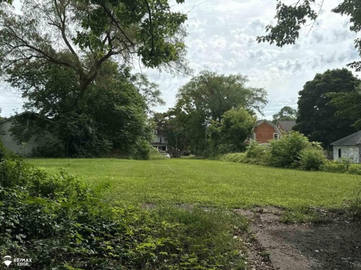 Picture of Residential Land For Sale in Flint, Michigan, United States