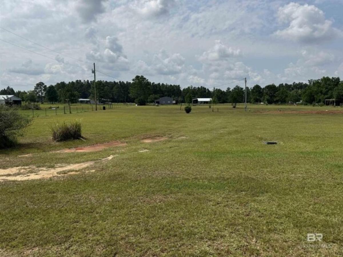 Picture of Residential Land For Sale in Seminole, Alabama, United States