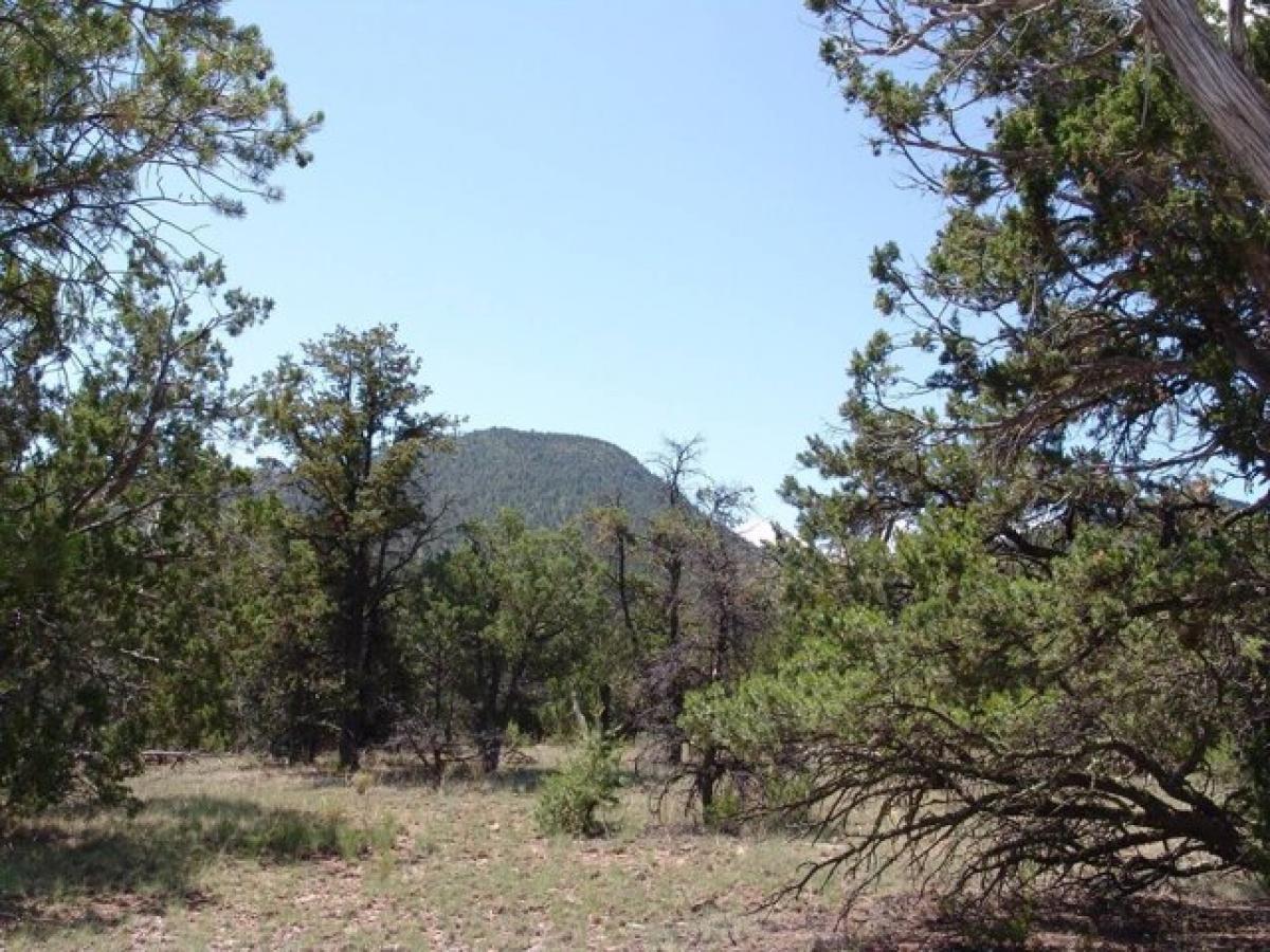 Picture of Residential Land For Sale in Datil, New Mexico, United States