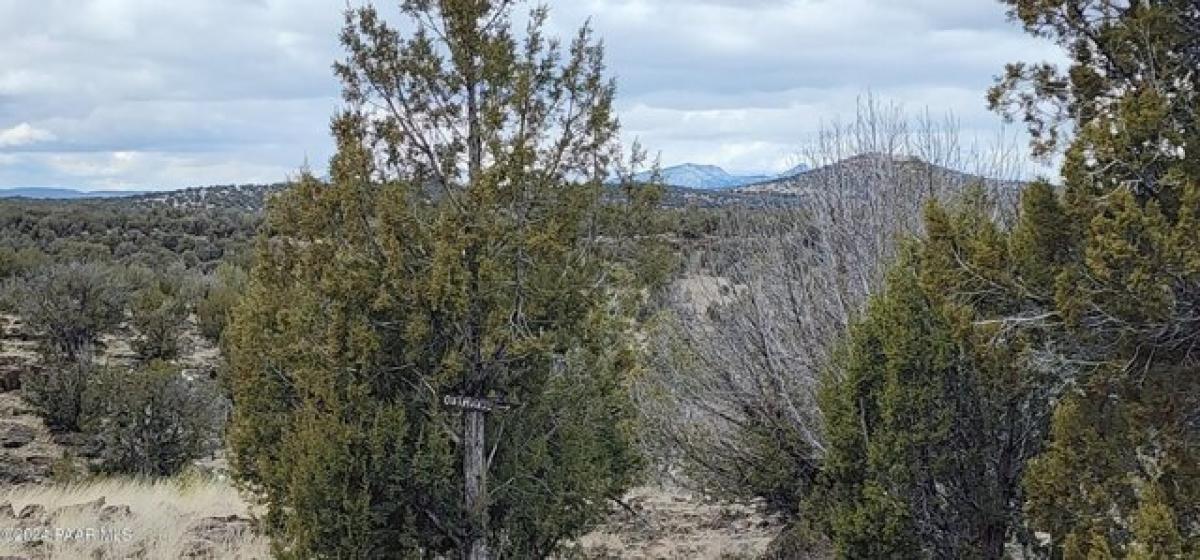 Picture of Residential Land For Sale in Ash Fork, Arizona, United States