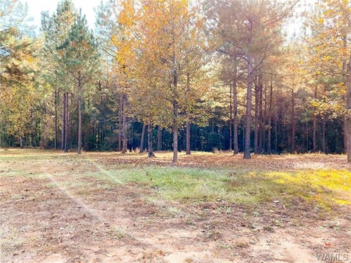 Picture of Residential Land For Sale in Coker, Alabama, United States