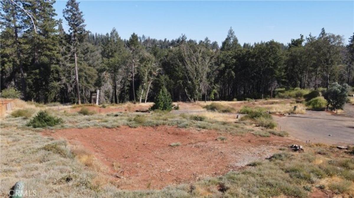 Picture of Residential Land For Sale in Magalia, California, United States