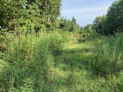 Residential Land For Sale in Bethel Springs, Tennessee