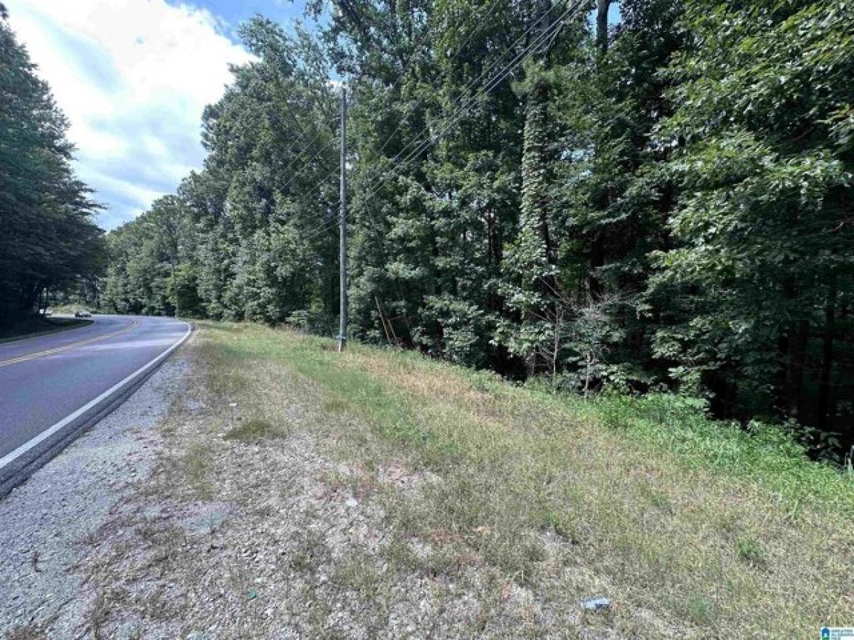 Picture of Residential Land For Sale in Bessemer, Alabama, United States