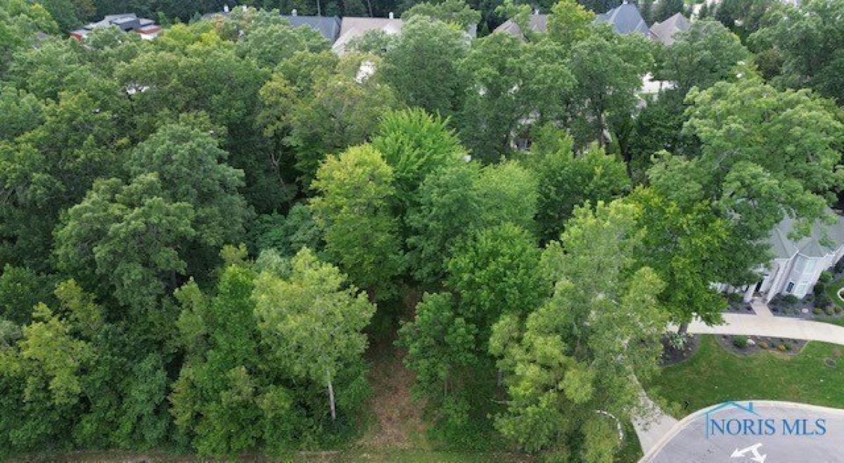 Picture of Residential Land For Sale in Toledo, Ohio, United States