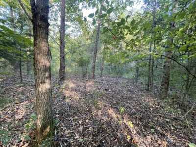 Residential Land For Sale in Bulls Gap, Tennessee