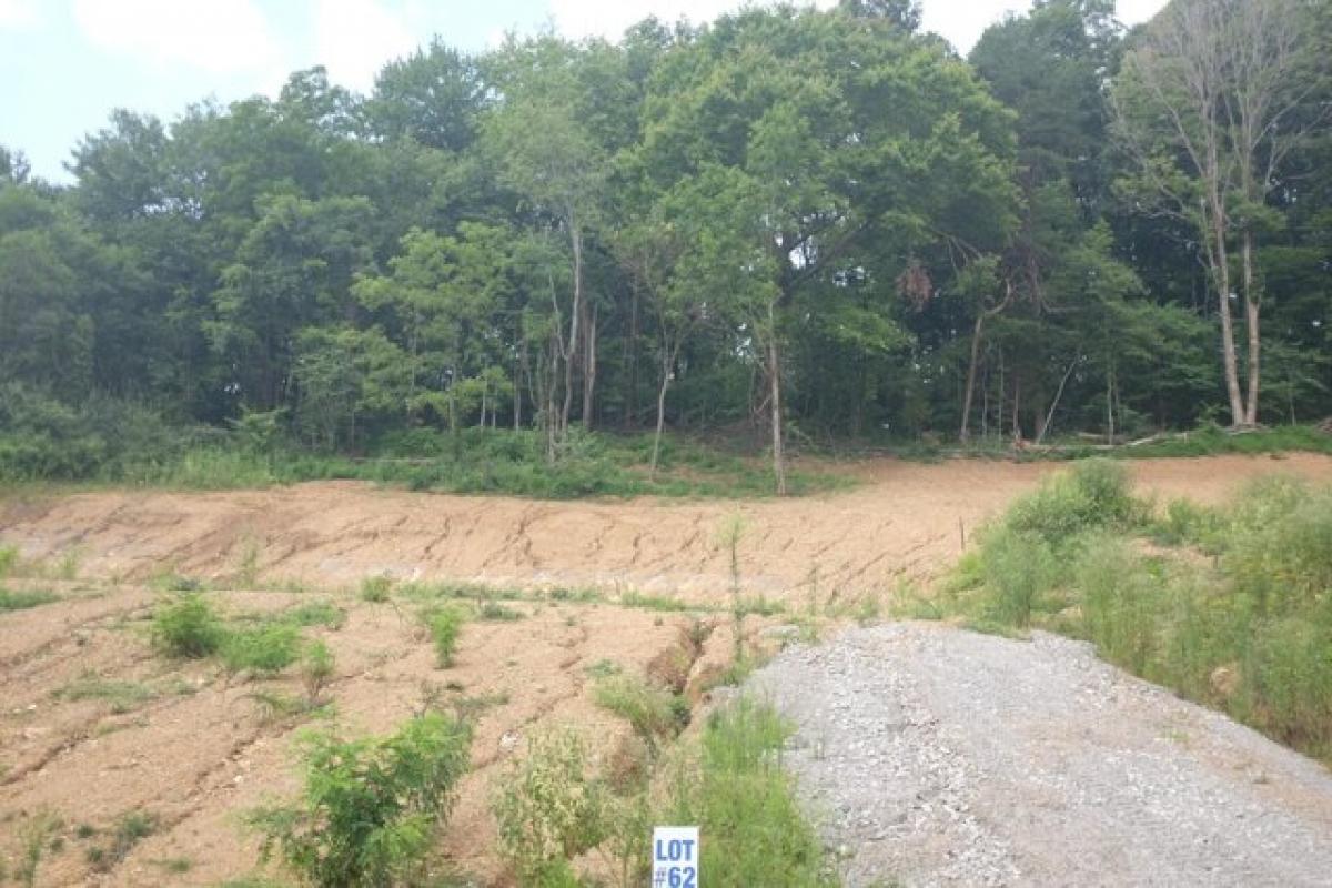 Picture of Residential Land For Sale in East Bernstadt, Kentucky, United States