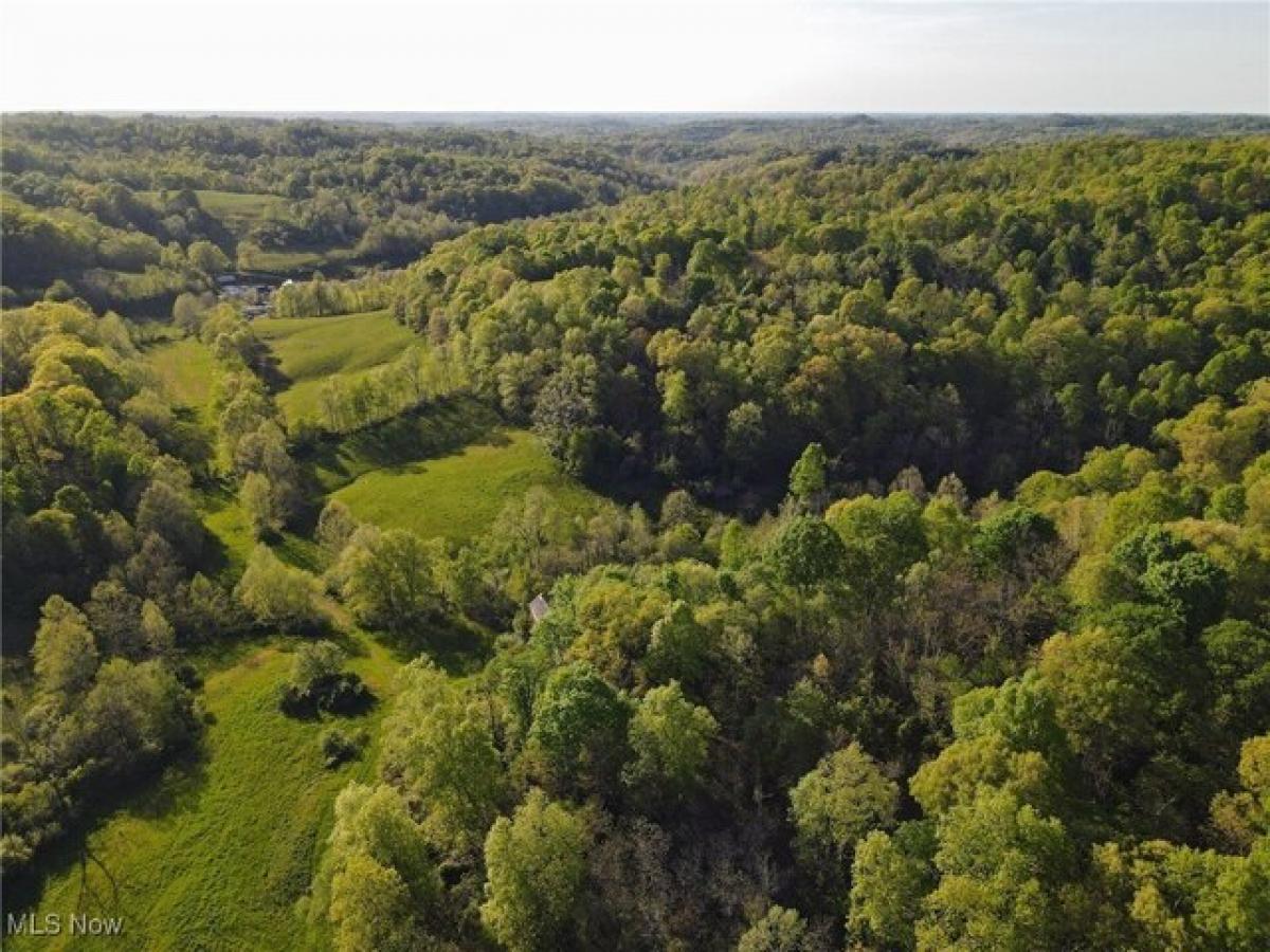 Picture of Residential Land For Sale in Belleville, West Virginia, United States