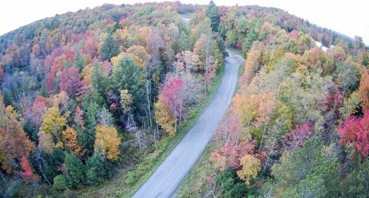 Picture of Residential Land For Sale in Davis, West Virginia, United States