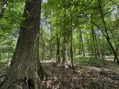 Residential Land For Sale in Canton, Mississippi