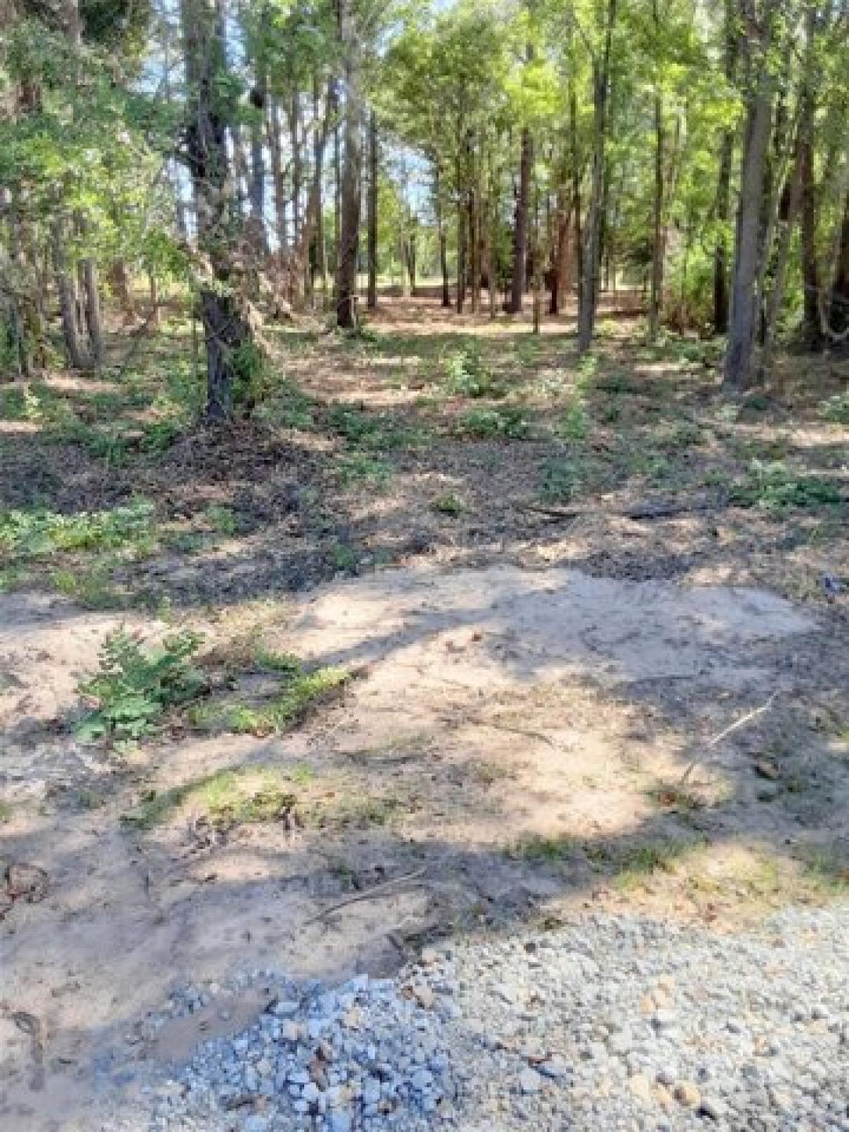 Picture of Residential Land For Sale in Winnsboro, Texas, United States