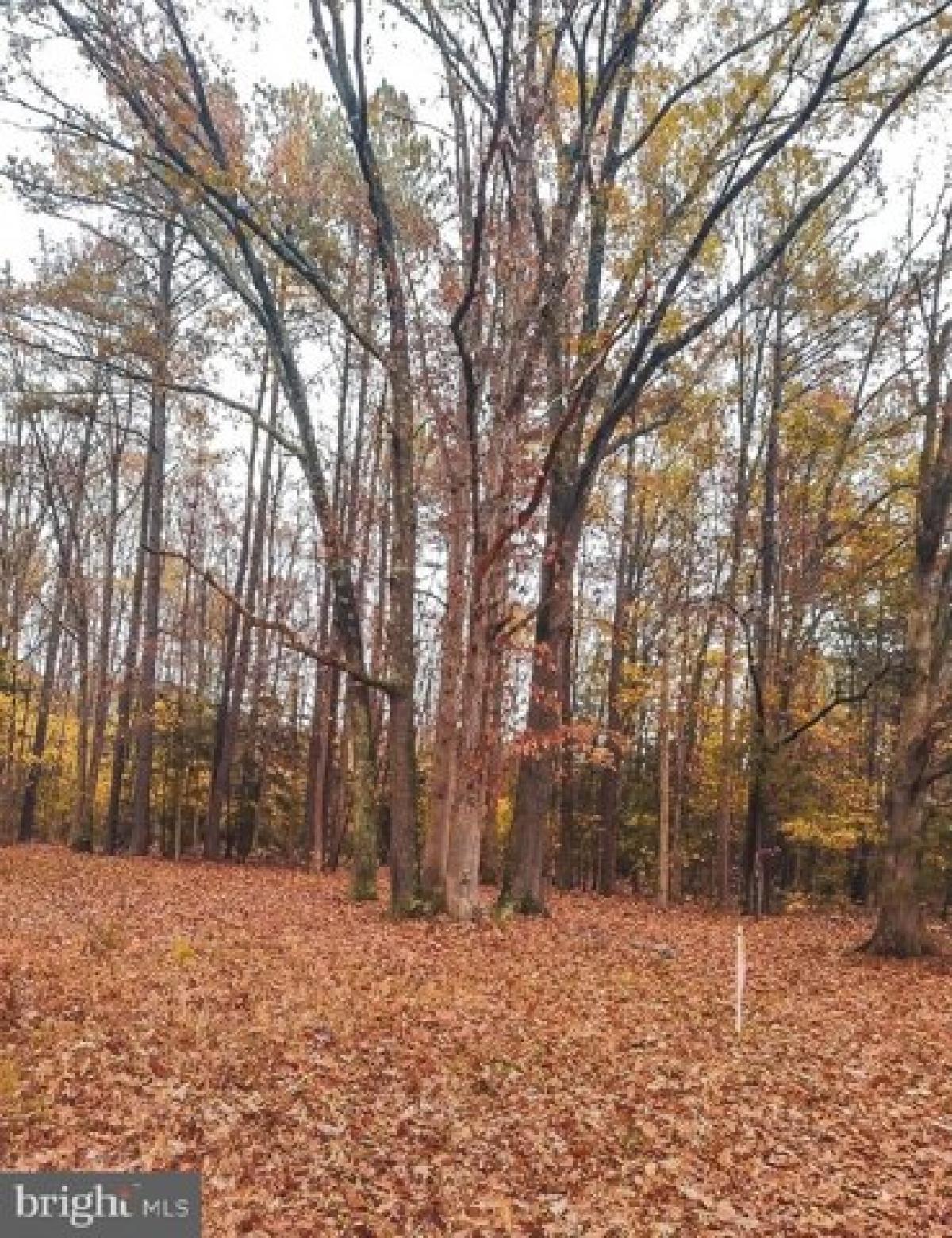 Picture of Home For Sale in Warfield, Virginia, United States