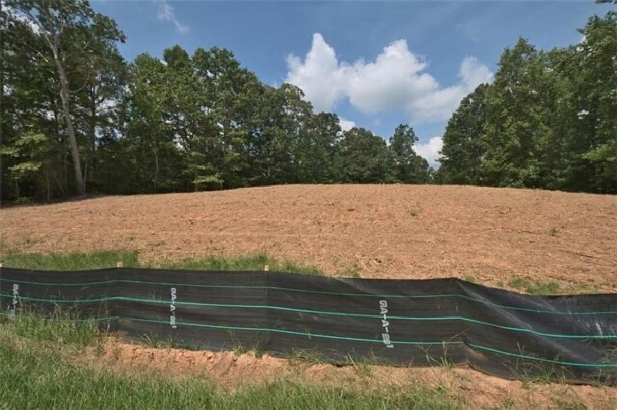 Picture of Residential Land For Sale in Braselton, Georgia, United States