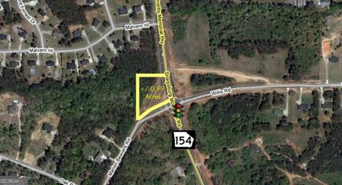 Picture of Residential Land For Sale in Sharpsburg, Georgia, United States