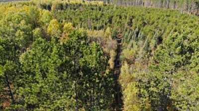 Residential Land For Sale in Conover, Wisconsin