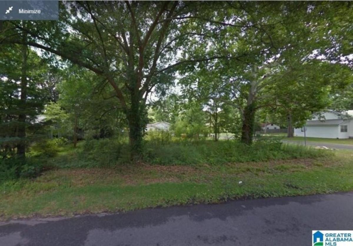 Picture of Residential Land For Sale in Childersburg, Alabama, United States