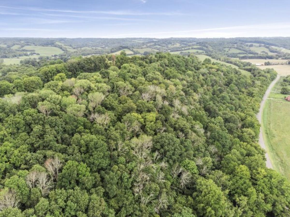 Picture of Residential Land For Sale in Lynchburg, Tennessee, United States