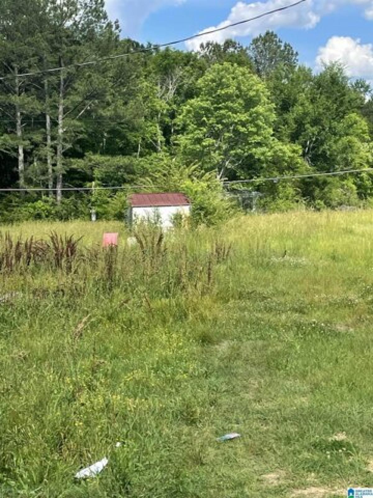 Picture of Residential Land For Sale in Jacksonville, Alabama, United States