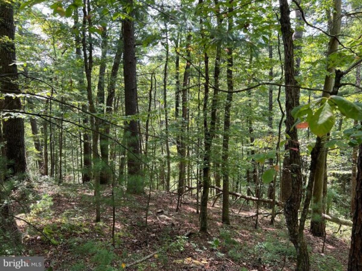 Picture of Residential Land For Rent in Mount Jackson, Virginia, United States