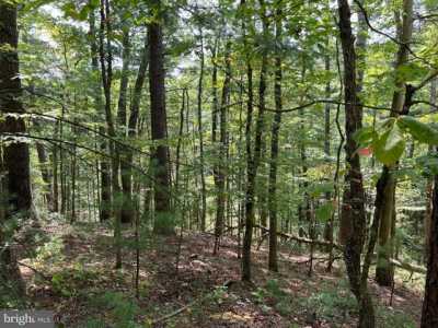 Residential Land For Rent in Mount Jackson, Virginia