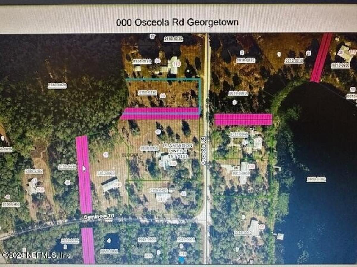 Picture of Residential Land For Sale in Georgetown, Florida, United States