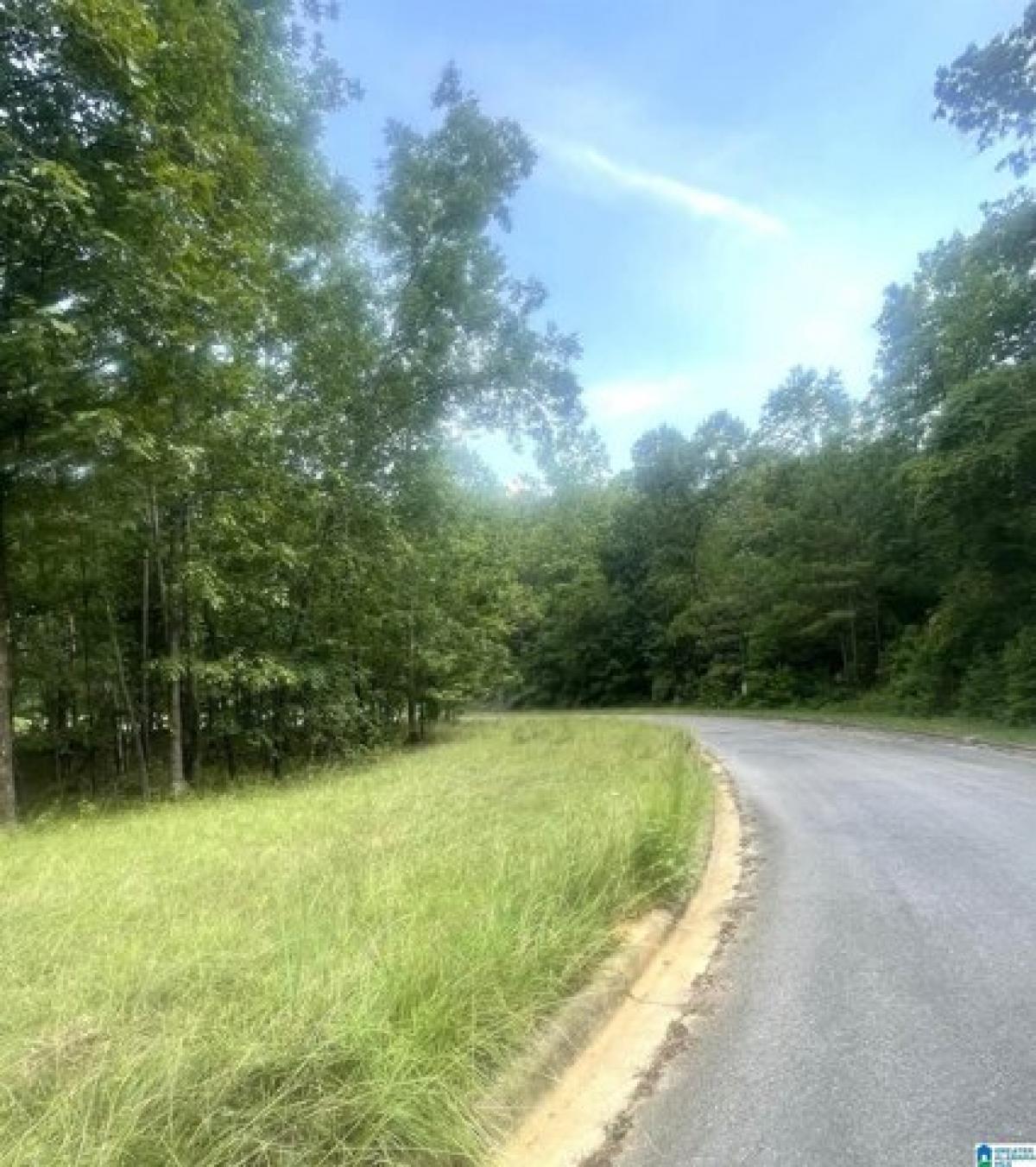 Picture of Residential Land For Sale in Bessemer, Alabama, United States