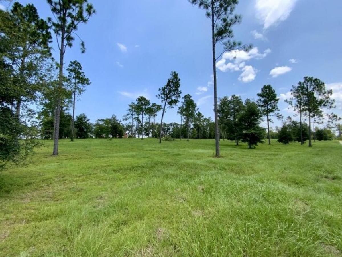 Picture of Residential Land For Sale in Madison, Florida, United States