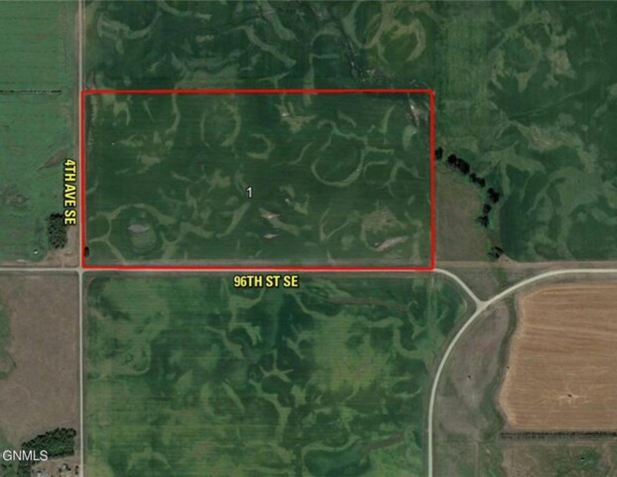 Picture of Residential Land For Rent in Strasburg, North Dakota, United States