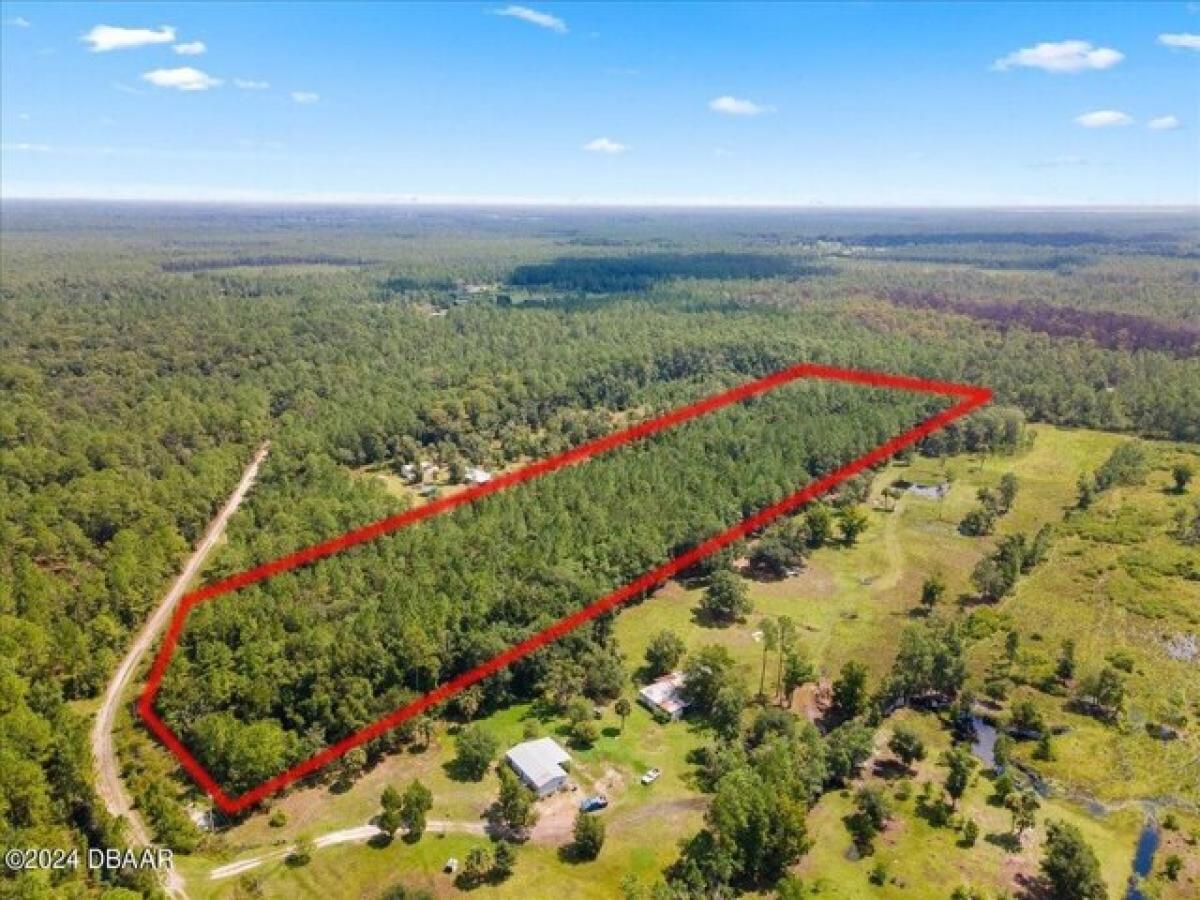 Picture of Residential Land For Sale in Pierson, Florida, United States